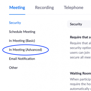 Zoom.us menu options with "In Meeting (Advanced)" selected